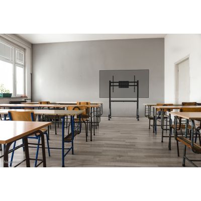 9. TV-Zubehör-Standfuß 55-86"/FL50-525BL1 NEOMOUNTS