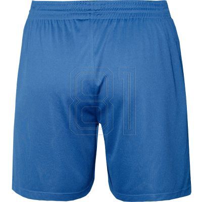 3. Colo Verse Volleyballshorts M 06 