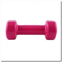 Vinylbeschichtetes Gusseisengewicht 1,5 kg 17023 17-47-003