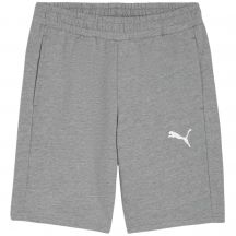 Puma teamGOAL Casuals M shorts 658608 33