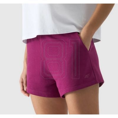2. Shorts 4F W 4FWSS24TSHOF286 51S