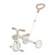 Dreirad/Laufrad LEARNING TRIKE 3in1 PLUS ECOLOGIC (738-466)