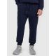 Herren-Jogginghose 4F 4FRMM00TTROM1624-31S