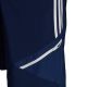 10. Adidas Condivo 22 Downtime M Shorts HA6265