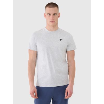 12. Herren T-Shirt (3-teiliges Set) 4F 3P-SS-4FWMM00TTSHM2256-91S 3PACK