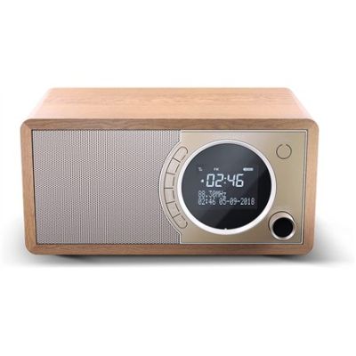 6. Sharp DR-450(BR) Digitalradio mit Bluetooth-Technologie
