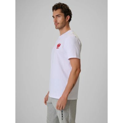4. Herren-Baumwoll-Fächer-T-Shirt 4F 4FRSS26TTSHM4203-10S