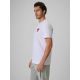 4. Herren-Baumwoll-Fächer-T-Shirt 4F 4FRSS26TTSHM4203-10S
