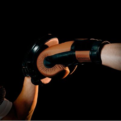 14. SOVEREIGN Boxhandschuhe aus mehrlagigem Leder – Legacy-Serie | DBX Bushido