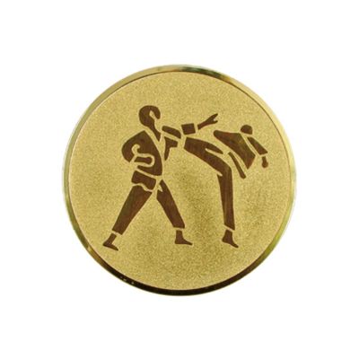 Aluminium-Einlage – Karate