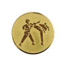 Aluminium-Einlage – Karate