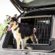 3. FERPLAST Atlas Car 100 Scenic - Autotransporter für Tiere