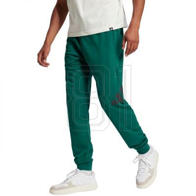 2. adidas Essentials Big Logo French Terry Hose M JE8971