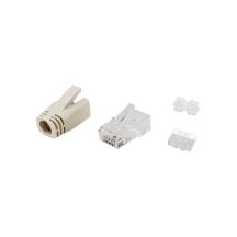 Equip 121176 RJ-45 Stecker Transparent, Weiß