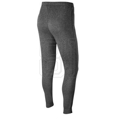 4. Nike Park 20 Fleece Jr CW6909 071 pants