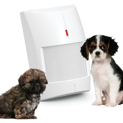 Satel GREY Bewegungsmelder für den Innenbereich, weiß - Sonderangebot!