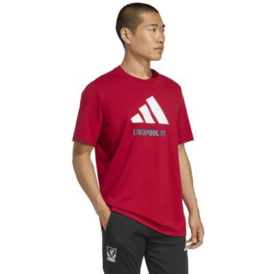 3. adidas Liverpool FC Saisonales DNA Grafik-T-Shirt 2 JY3466