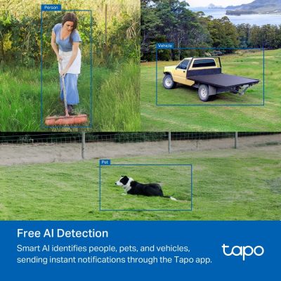 32. TP-LINK Tapo C501GW Kamera
