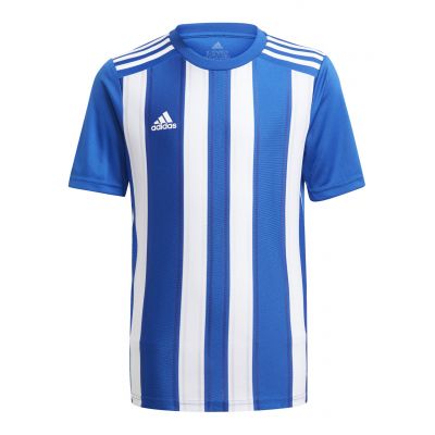 3. adidas Striped 21 Jr T-Shirt GH7323
