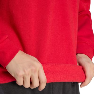 13. adidas Entrada 26 Sweatshirt für Herren, rot, JZ6575
