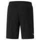 7. Puma Shorts M 657387 03