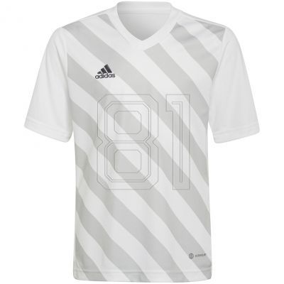 2. Adidas Entrada 22 Graphic Jersey Jr HF0120