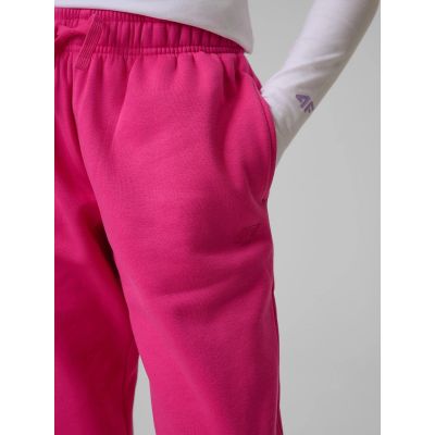 4. Jogginghose für Mädchen 4F 4FJRSS26TTROF1795-12S
