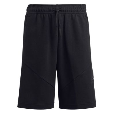 4. adidas Future Icons Logo 8 Inch Shorts Jr HR6306 Shorts