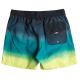 2. Billabong All Day Fade 16" Shorts EBYJV00121-BLK Grün L