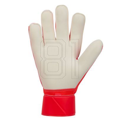 3. Nike Match Handschuhe HQ0257-635