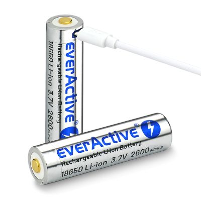 2. EVERACTIVE AKKU EVERACTIVE 18650 3,7V LI-ION 2600mAh MICRO-USB MIT SCHUTZBOX EV18650-26M