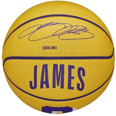 4. Wilson NBA Player Icon Stephen Curry Miniball WZ4007401XB