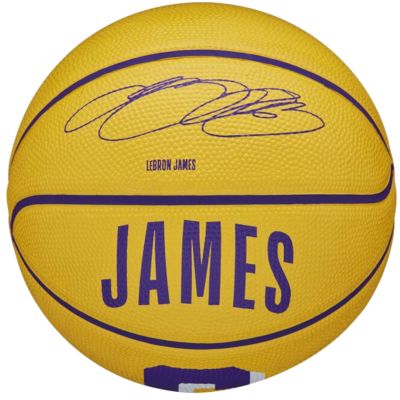 4. Wilson NBA Player Icon Stephen Curry Miniball WZ4007401XB