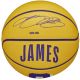4. Wilson NBA Player Icon Stephen Curry Miniball WZ4007401XB