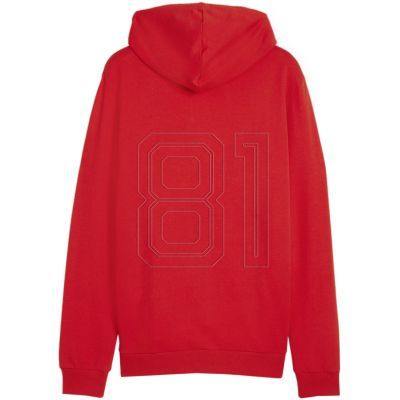 2. Puma Team Goal Casuals Hooded M 658595 01 sweatshirt