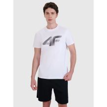 Herren T-Shirt 4F 4FWMM00TTSHM2257-10S