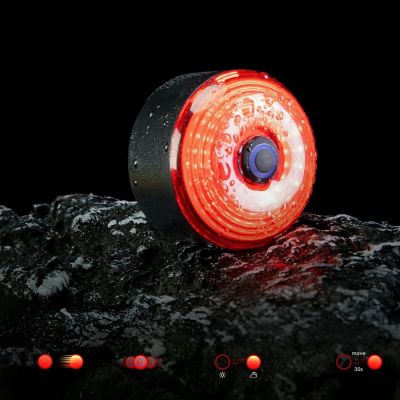 2. Rockbros C52-2 leichte Satteltasche mit 250-mAh-Beleuchtung – grün