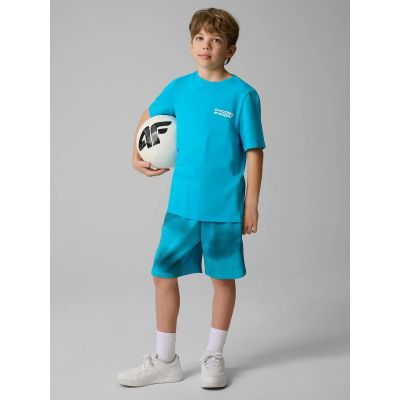 3. Normales bedrucktes Jungen-T-Shirt 4F 4FJRSS26TTSHM3832-33S