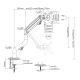 2. GEMBIRD Verstellbarer Tischmonitorarm/Halterung 17-32, VESA 100x100mm, bis zu 8 kg