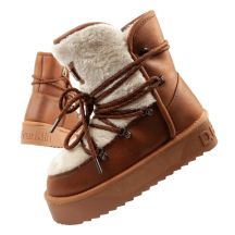 D.Franklin Damen Winterstiefel isoliert braun