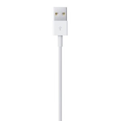 3. Lightning-auf-USB-Kabel (0,5 m)