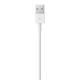 3. Lightning-auf-USB-Kabel (0,5 m)