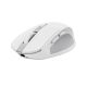 Trust OZAA COMPACT Wireless Mouse weiß