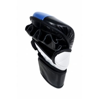 4. Masters MMA Handschuhe GFS-10 0110-02M