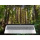 22. HP OmniBook 5 16-bc1219nw Ryzen 5 8540U 16" 2K 300 Nits AG 16 GB LPDDR5-6400 SSD512 Radeon 740M CAM 1080p 59 Wh Windows 11 Glacial Silver 2 Jahre