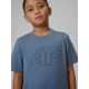 3. Normales bedrucktes Jungen-T-Shirt 4F 4FJRSS26TTSHM3599-10S