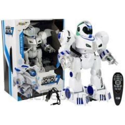 Interaktiver ferngesteuerter Roboter