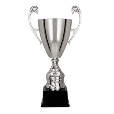 4. CUP 4105A