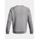 2. Under Armour Fleece Crew M 1379755-025 Sweatshirt
