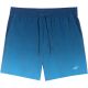2. Badeshorts 4F M 4FWSS25UBDSM132 46S